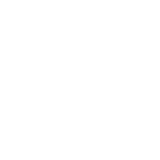 DEV ICON