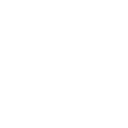 INFO ICON