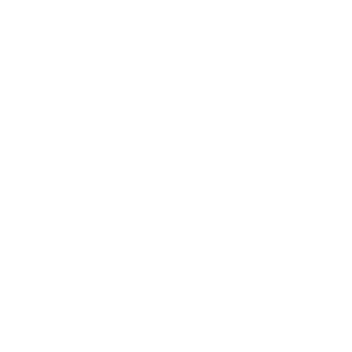 TERMS ICON