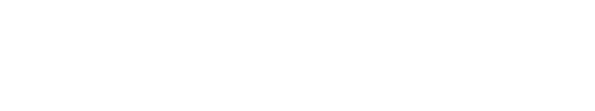 LOGO VTRACK